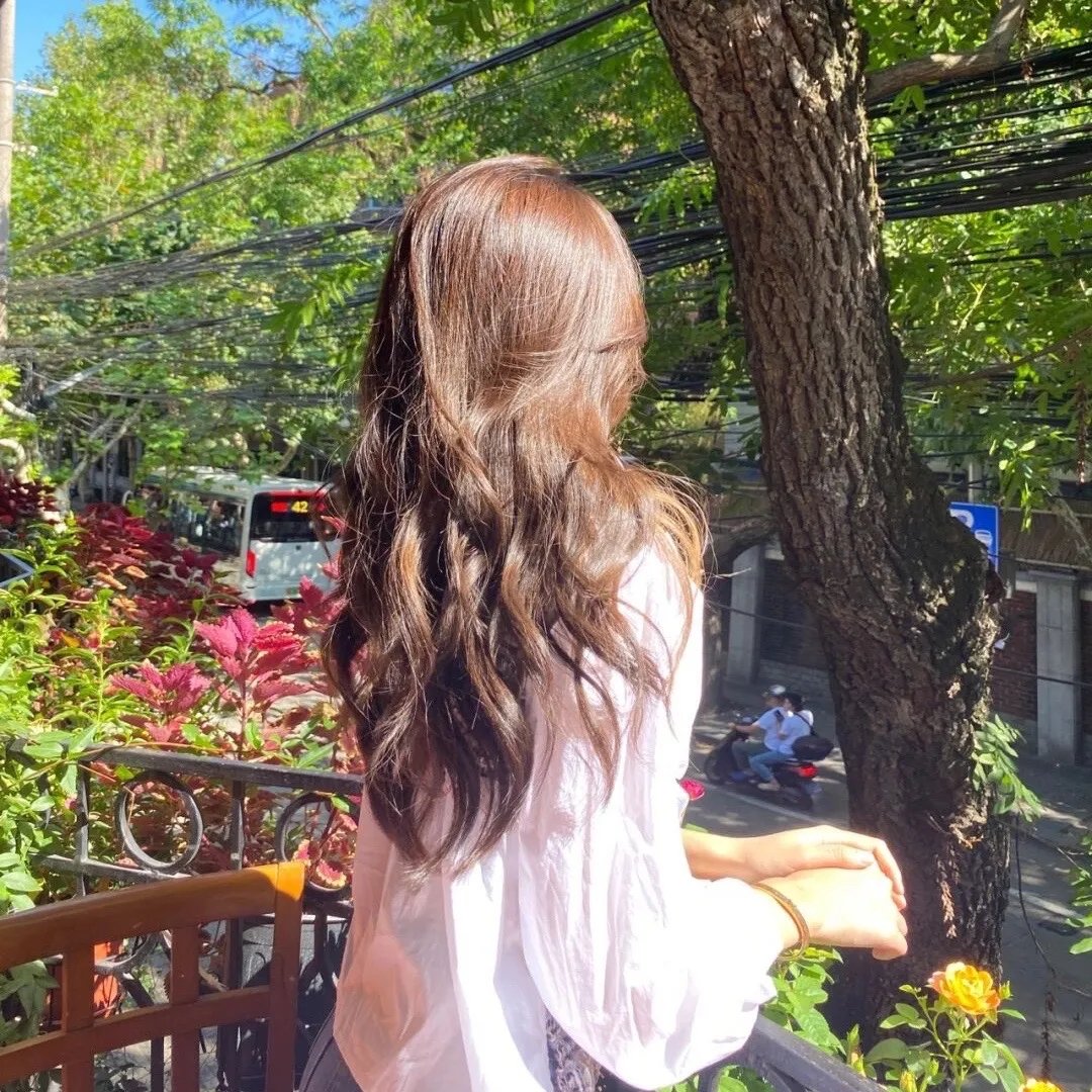 春苗